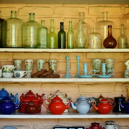 Vintage Luxurious House Villa