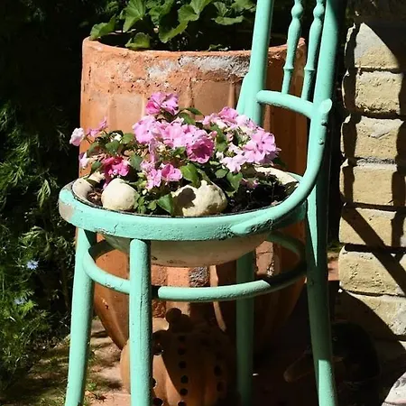 Vintage Luxurious House