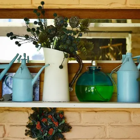 Vintage Luxurious House Villa