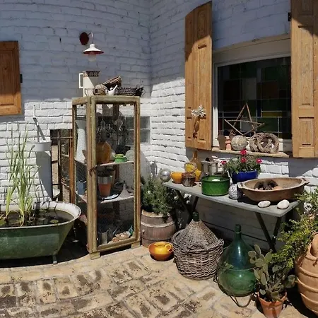 Vintage Luxurious House *