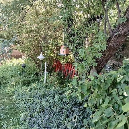 Villa Vintage Luxurious House Sombor