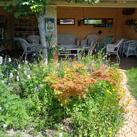 Vintage Luxurious House *