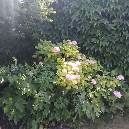 Vintage Luxurious House * Sombor