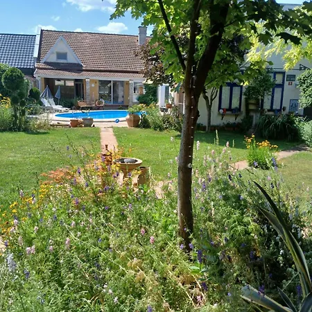 Vintage Luxurious House