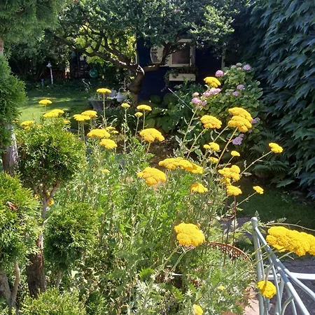 Villa Vintage Luxurious House