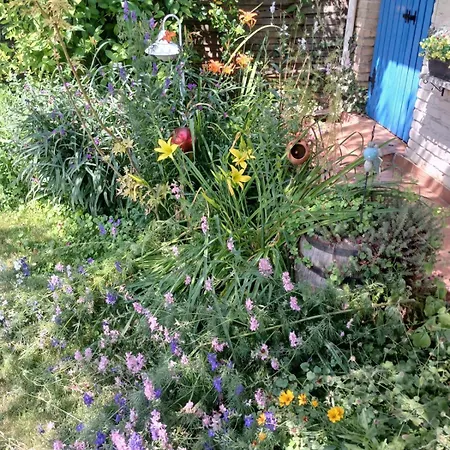 Vintage Luxurious House Villa *