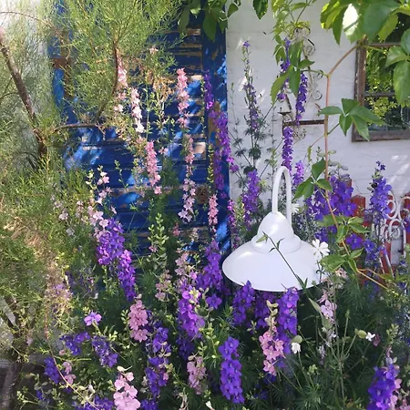 Vintage Luxurious House Sombor