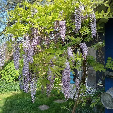 Villa Vintage Luxurious House