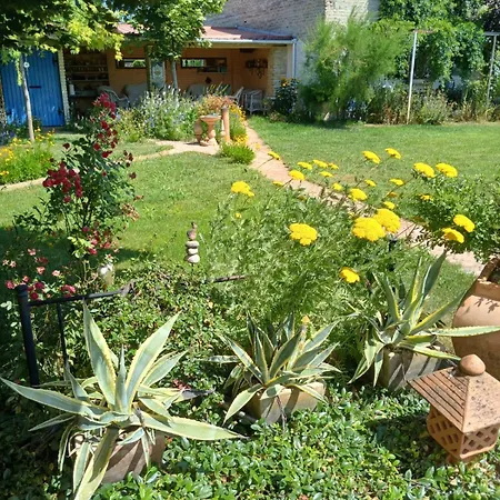 Vintage Luxurious House Villa *