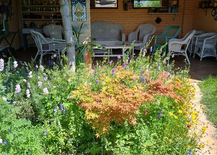 Vintage Luxurious House *