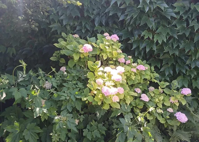 Vintage Luxurious House * ソンボル