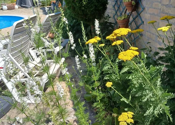 Vintage Luxurious House ヴィラ