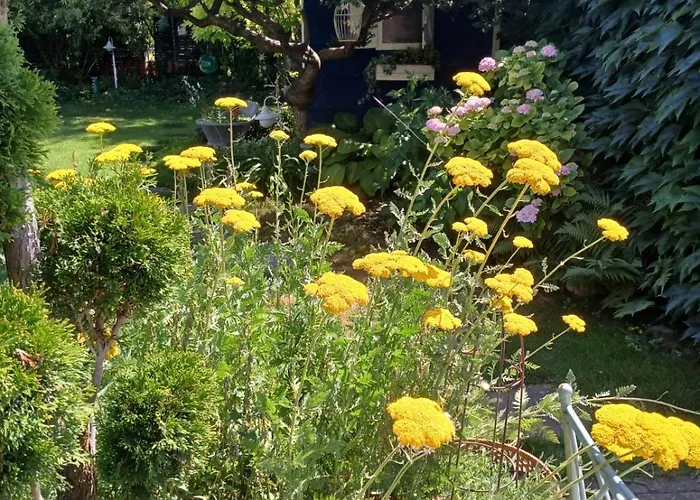 ヴィラ Vintage Luxurious House