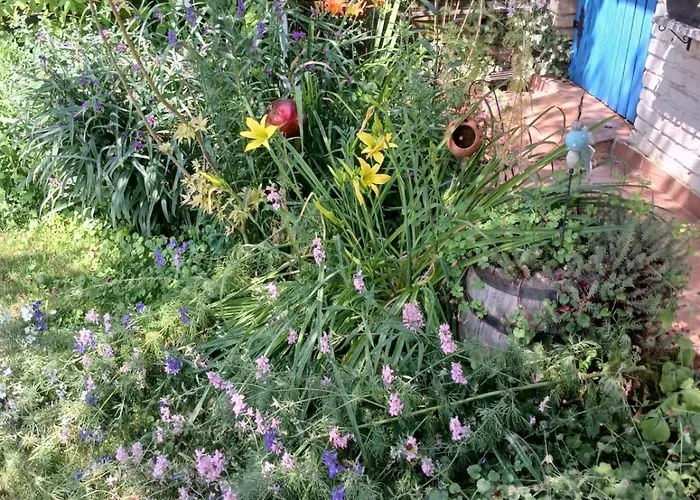 Vintage Luxurious House ヴィラ *