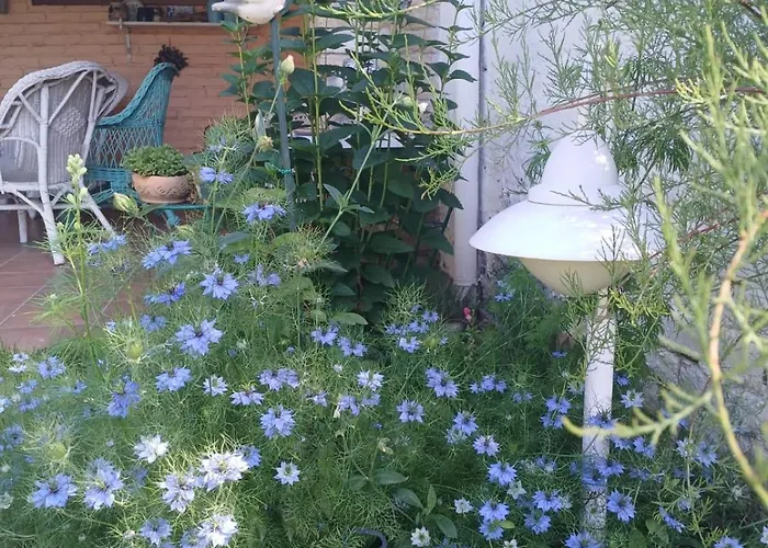 ヴィラ Vintage Luxurious House ソンボル