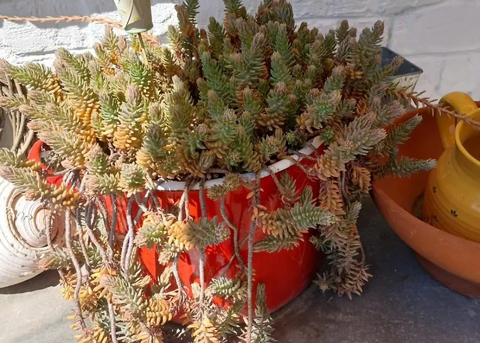 Vintage Luxurious House ヴィラ