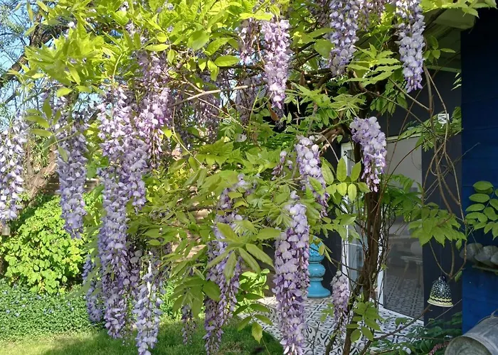 ヴィラ Vintage Luxurious House